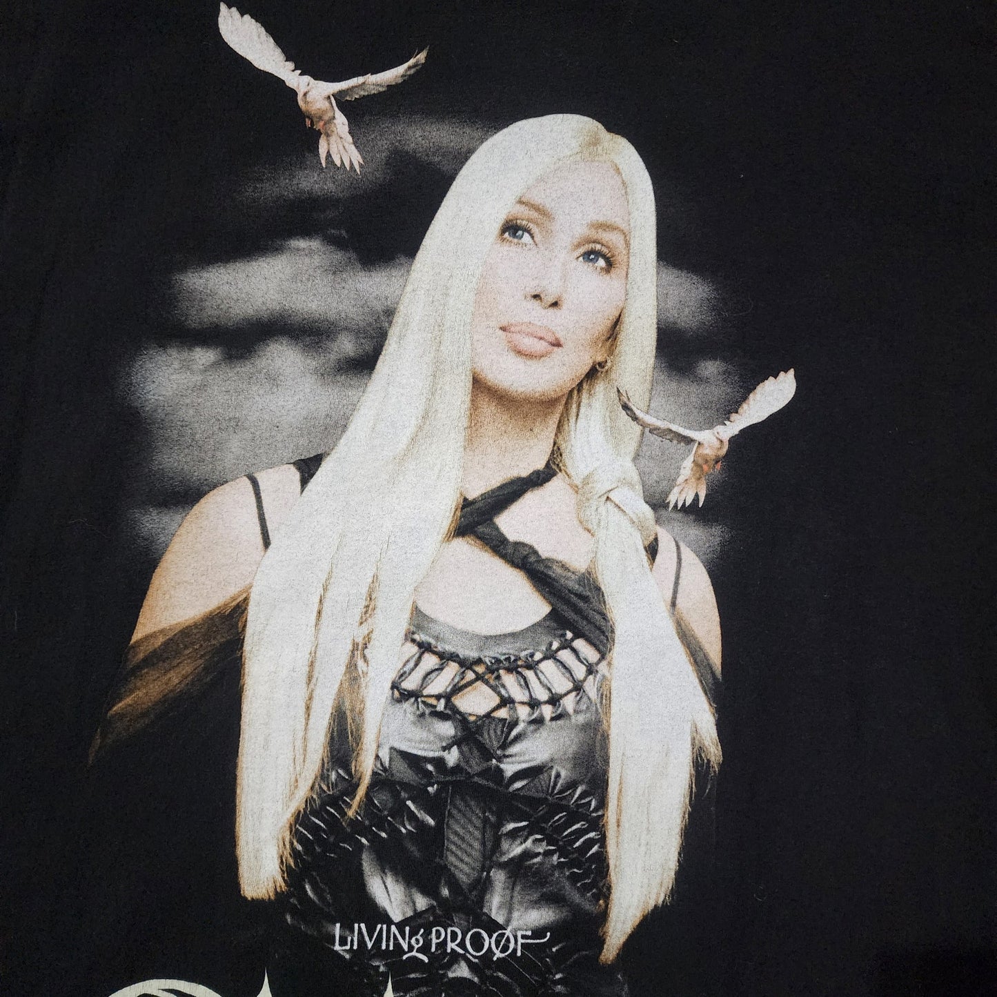 Vintage 2003 Cher Living Proof Tour Tee