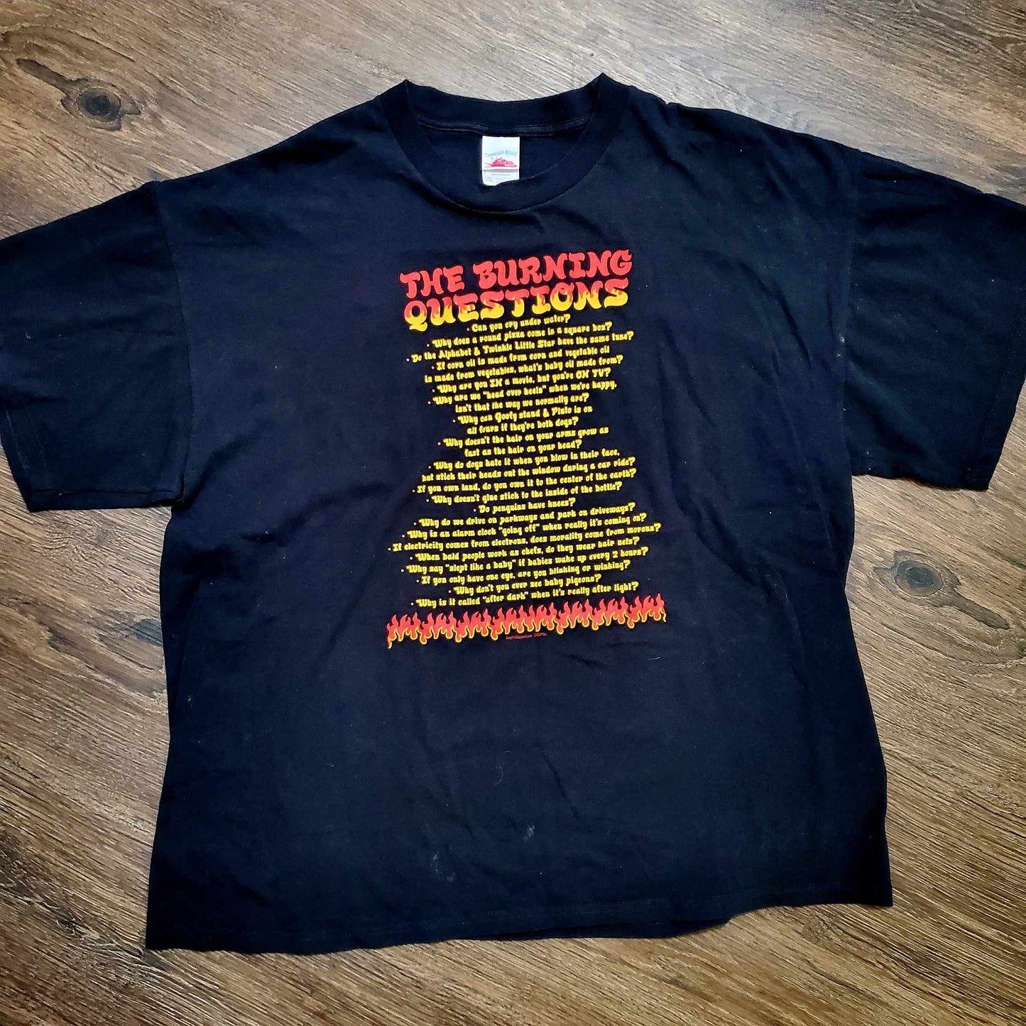 (XXL) Vtg The Burning Questions T-Shirt